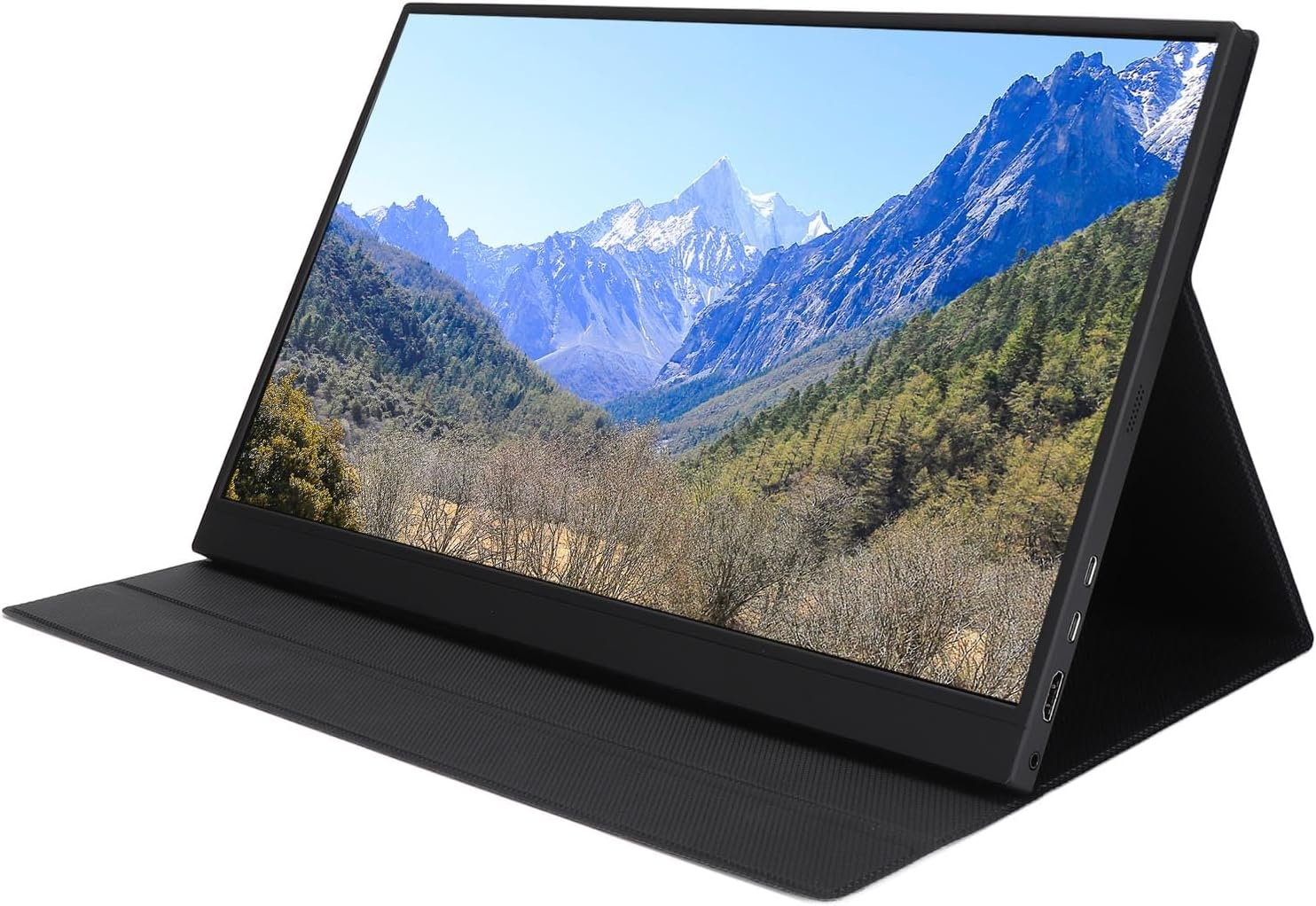 4K Portable Monitor, 17.3 Inch 3840X2160 IPS Laptop Display, with Adjustable Stand and Expandable Hole, 2 USB Type C Port, for Switch, OS X