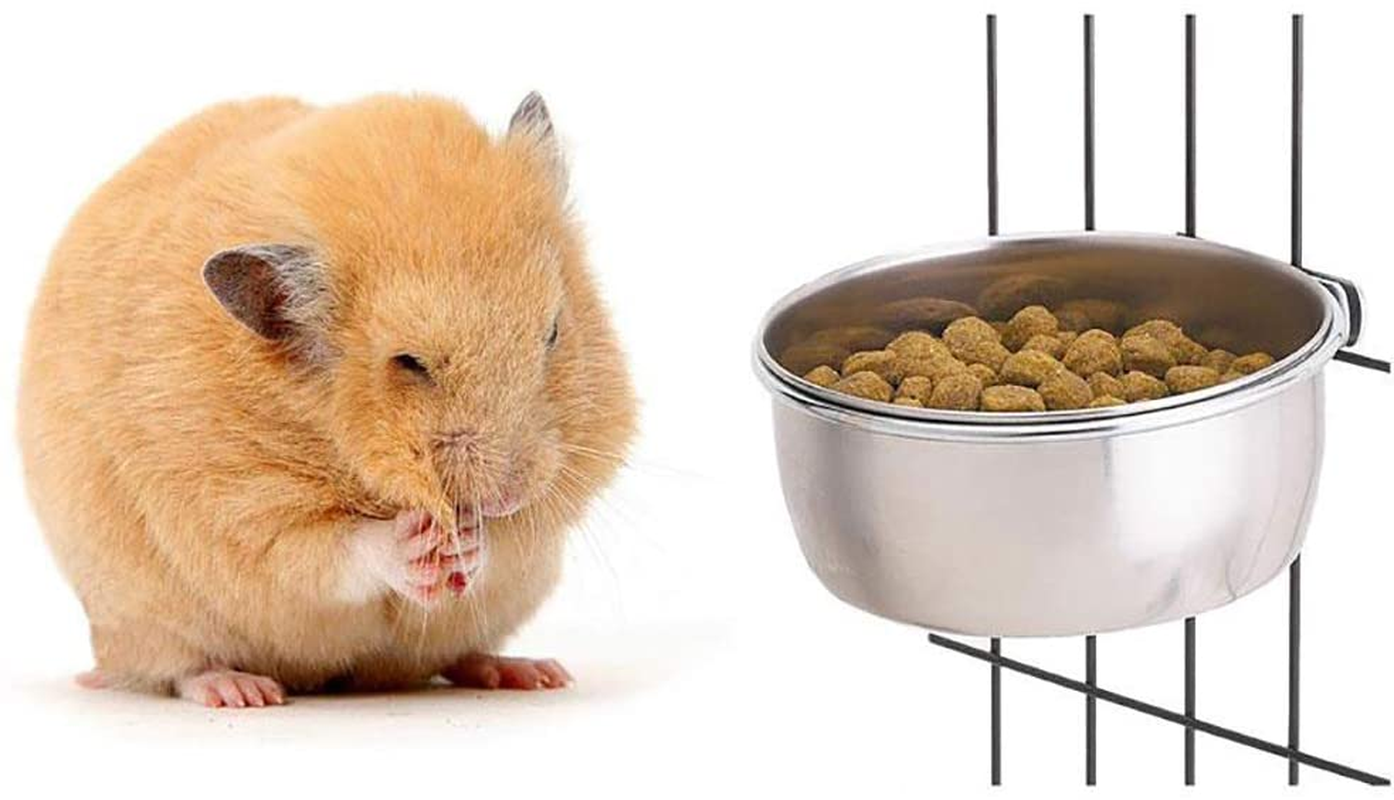 Tfwadmx 2 Pack Bird Feeding Dish Cups, Parrot Food Bowl Clamp Holder - Stainless Steel Coop Cup, Bird Cage Water Bowl for Parakeet African Greys Conure Cockatiels Lovebird Budgie Chinchilla - Silver image number 4