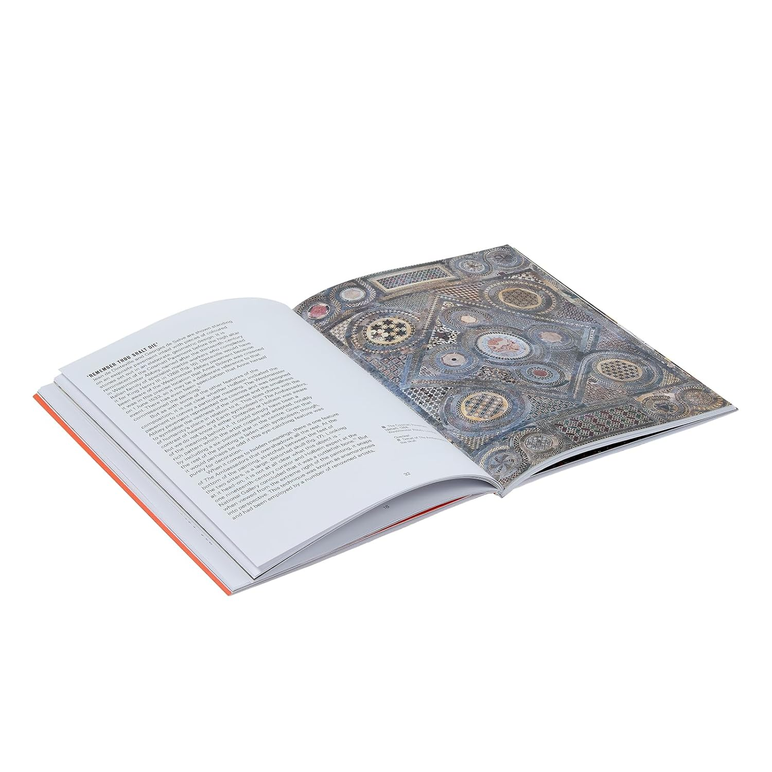 Holbein: the Ambassadors image number 3