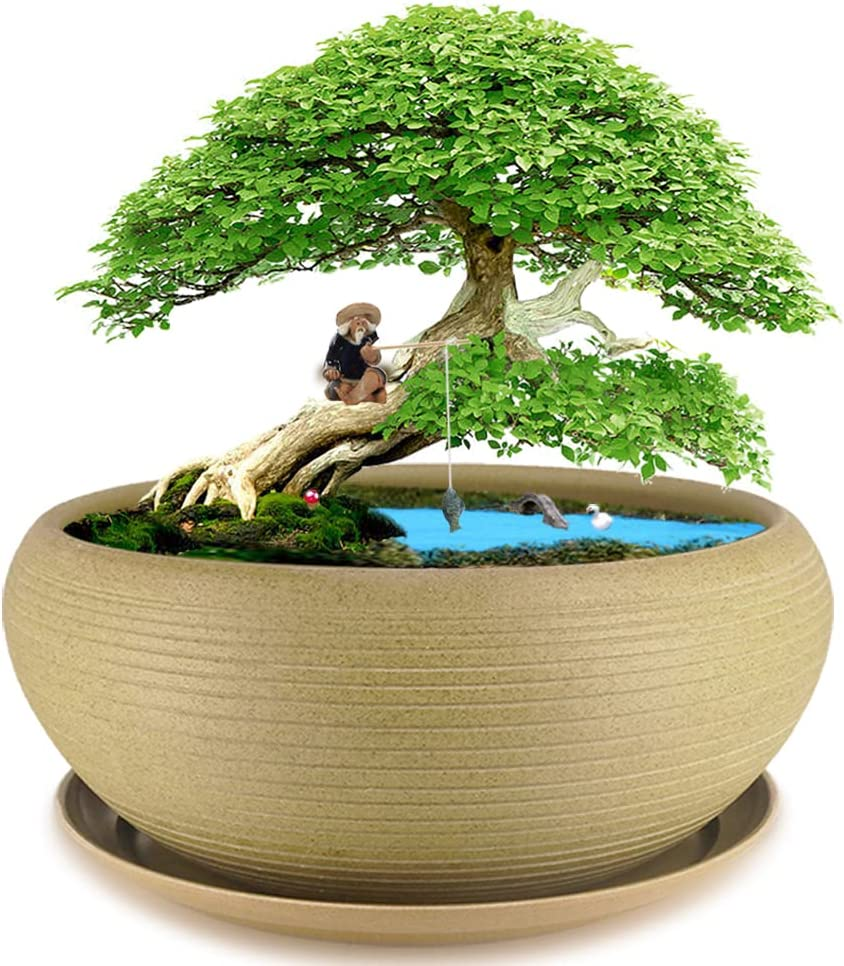 MUZHI 10&rdquo; round Large Ceramic Bonsai Bowl Planter，Clay Succulent Plant Pot Container with Saucer image number 3