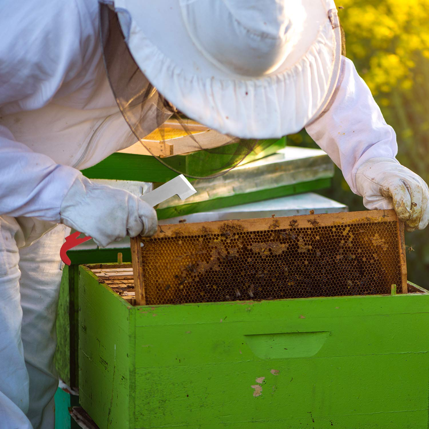 Sunshane 2 Pack Stainless Steel Bee Hive Tool J Hook Bee Frame Lifter and Scraper Beekeeping Equipment for Beekeepers, 10.5 Inch