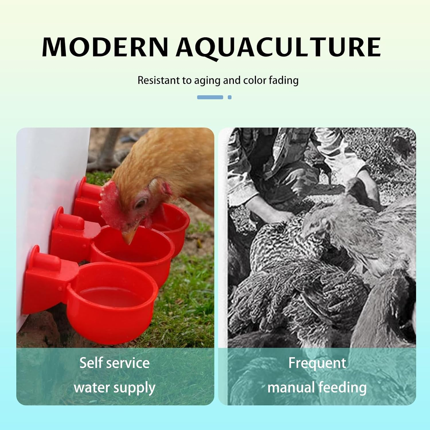 6 Port Chicken Feeder for Bucket No Waste Automatic Gravity Poultry Feeder, Rat Proof Weatherproof, Easy to Install for Hens, Chicks, and Wild Birds (Red, PP Material) image number 4