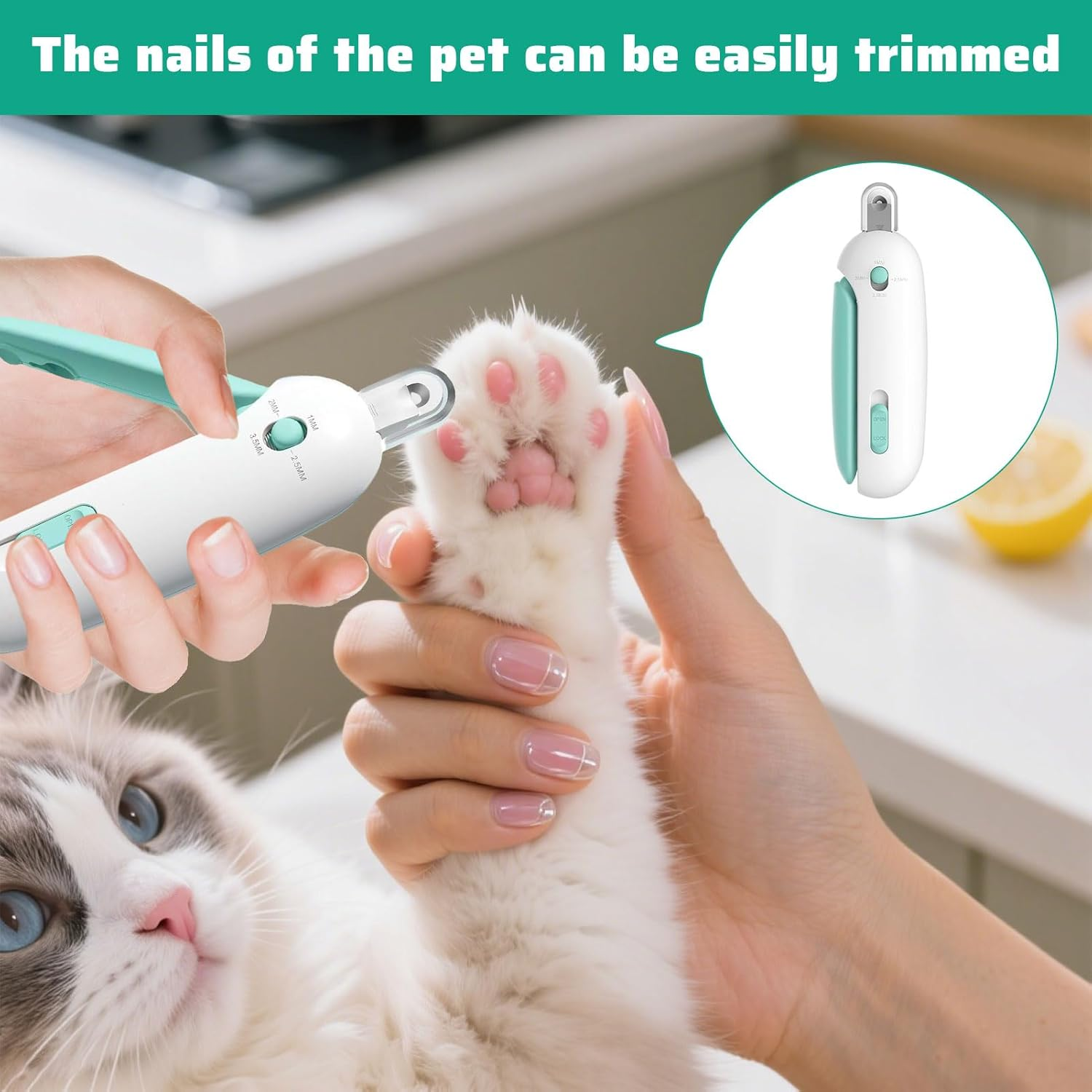 Cat Nail Clippers, Cat Claw Clippers, Cat Nail Clippers with Nail File, round Hole Blade, Adjustable Aperture with Hidden Nails File, Ideal for Pet Grooming and Pets Claw Care (Blue) image number 4