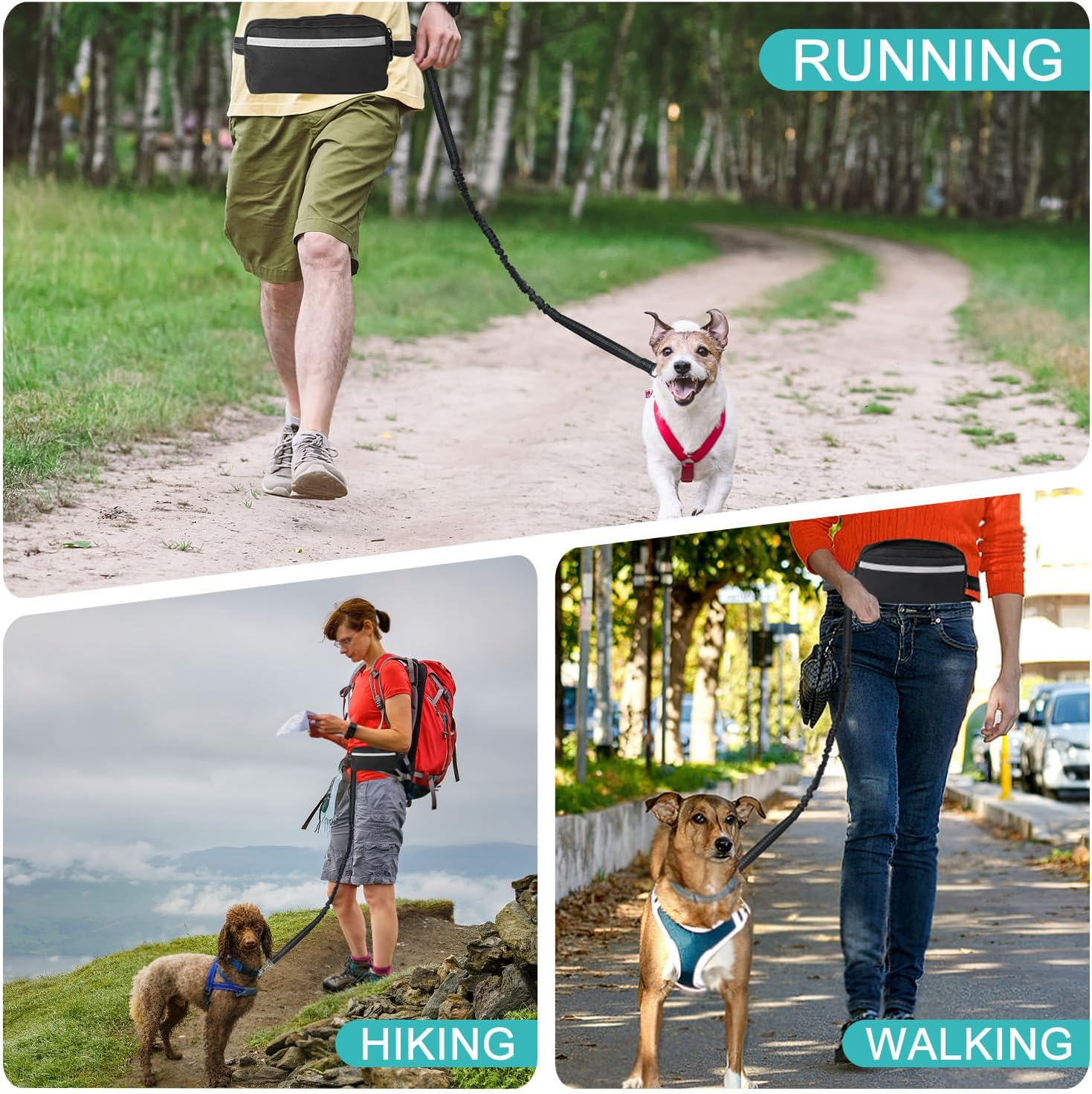 Hands Free Dog Running Leash with Zipper Pouch, Adjustable Waist Belt for Medium/Large Dogs, Dual-Handle Reflective Bungee, Secure Design for Running, Walking, Hiking, Black image number 3