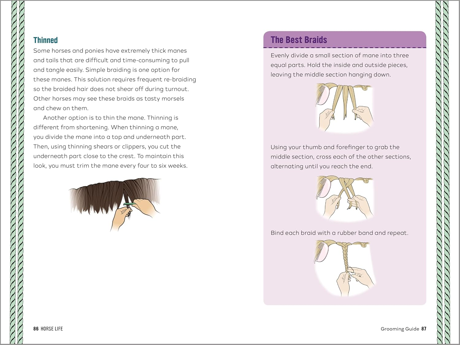 Horse Life: the Ultimate Guide to Caring for and Riding Horses for Kids image number 2