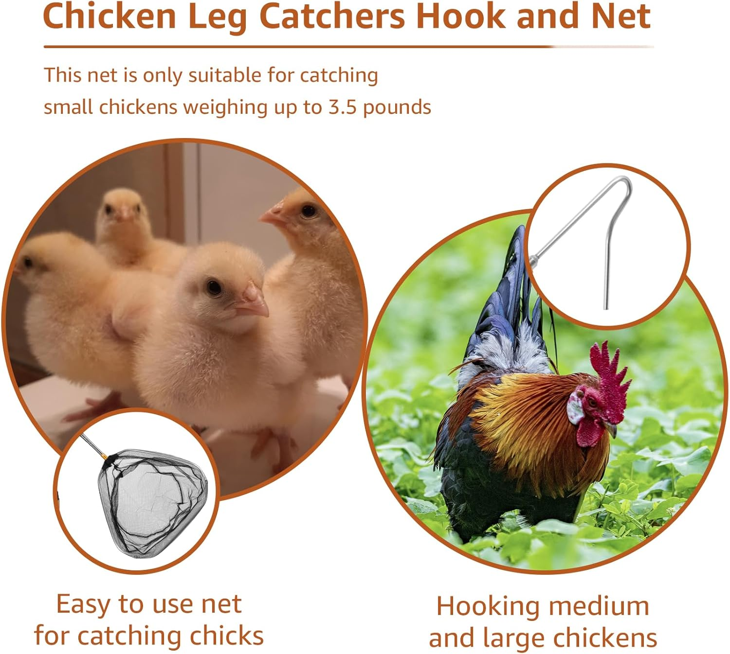 Telescopic Chicken Net Catcher 58.5 Inch Chicken Catching Net with Handle Stainless Steel Pole Poultry Catcher Leg Hook for Catching Poultry Chickens Turkeys Geese Ducks Fish image number 6
