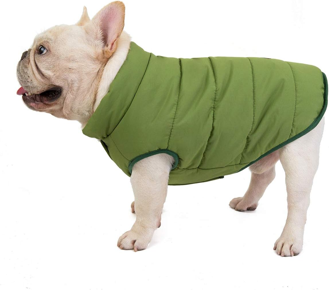 Izefia Dog Coat Cold Weather Coat Windproof Jacket Fleece Warm Dog Vest Winter Thick Clothes Dog Coat for Small Dog Bulldog Medium Cat 1C-Green S