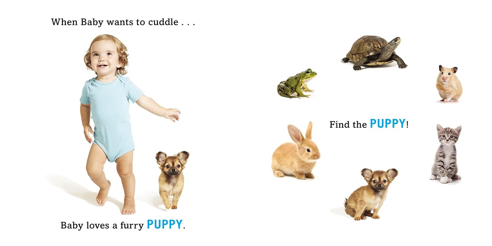 Baby Loves: a First Book of Favorites