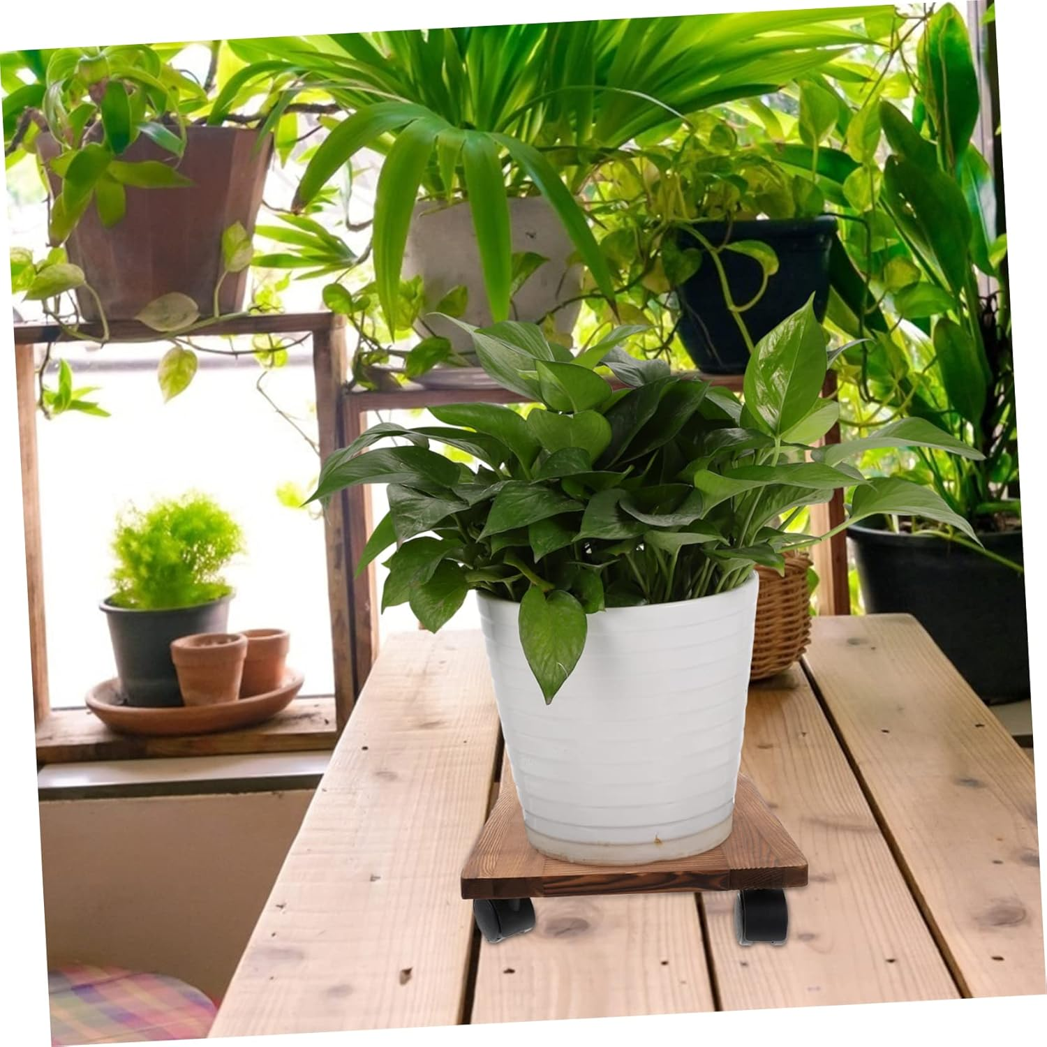 Movable Flowerpot Tray Wheel Casters Hollow Out Design for Indoor Plant Pot Stand Material image number 2