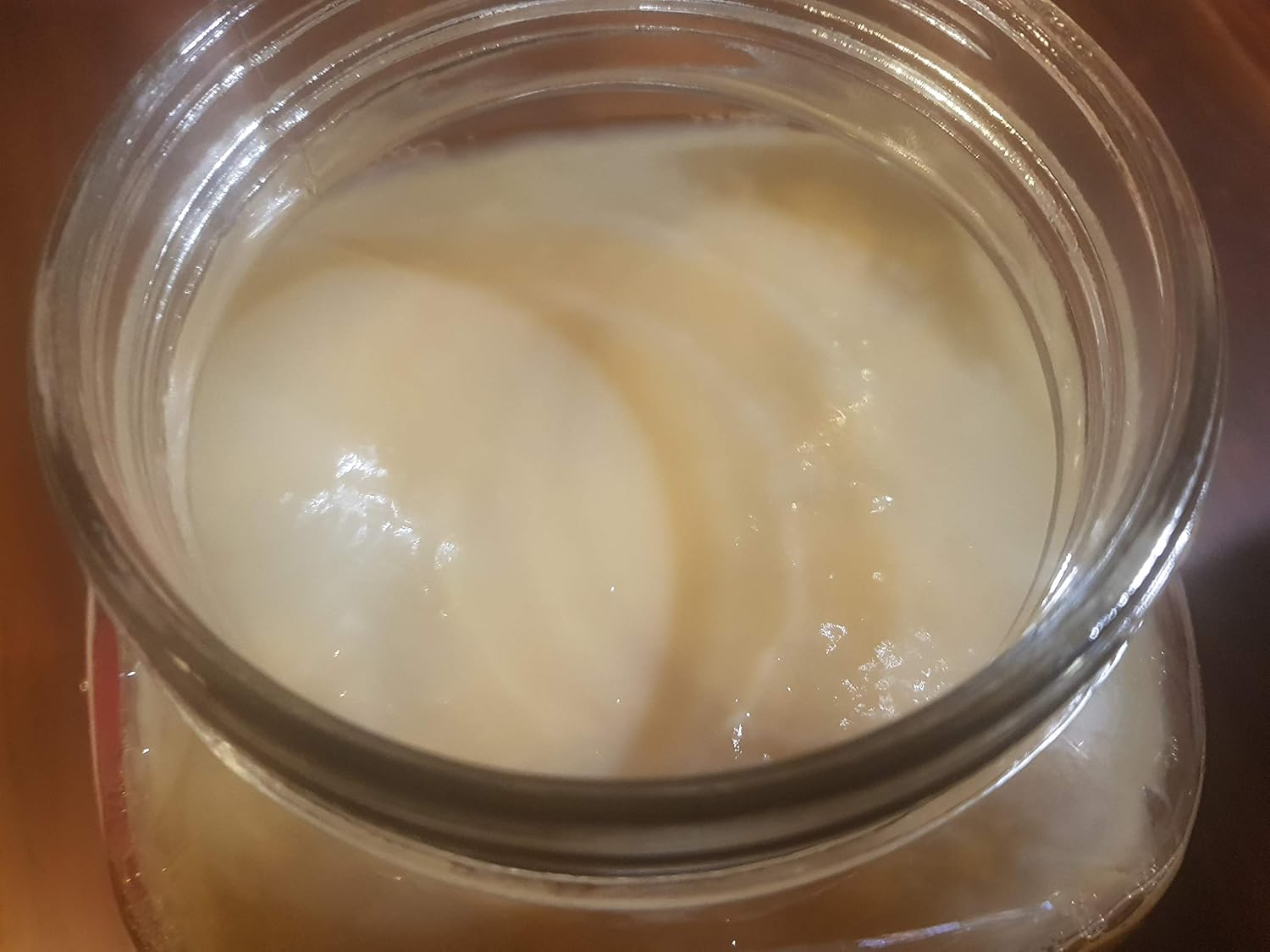 Kombucha Scoby with 200Ml of Starter Liquid and Easy Instructions. image number 3