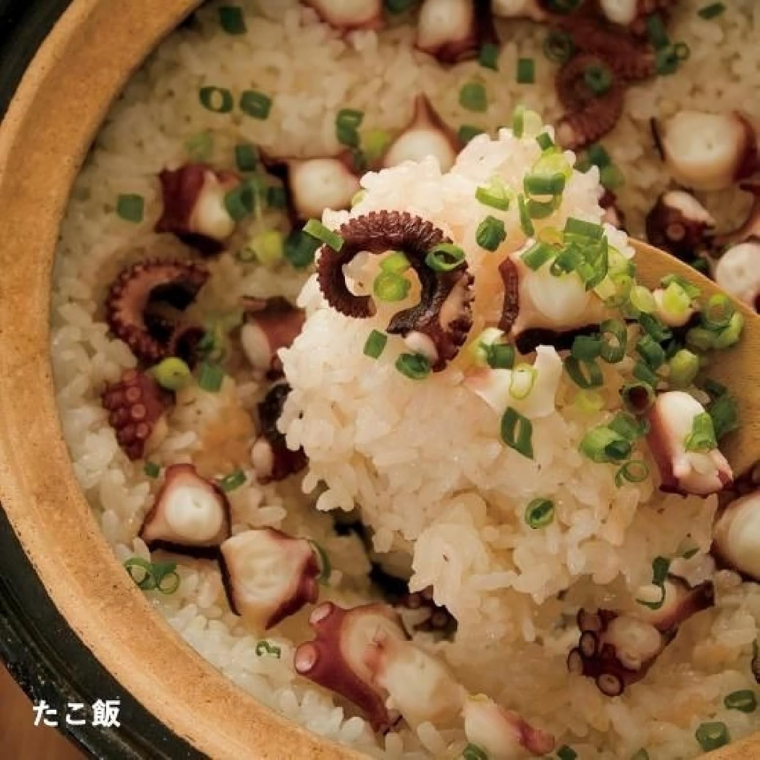 Nagatani Seitou ACT-01 Hase-En Kamado-San Earthenware Pot for Rice, 3 Cuisines, Made in Japan (With Rice Spoon, Recipe) Diameter 9.4 X Height 7.1 Inches (24 X 18 Cm), Heat Retention, Prevents Spills,