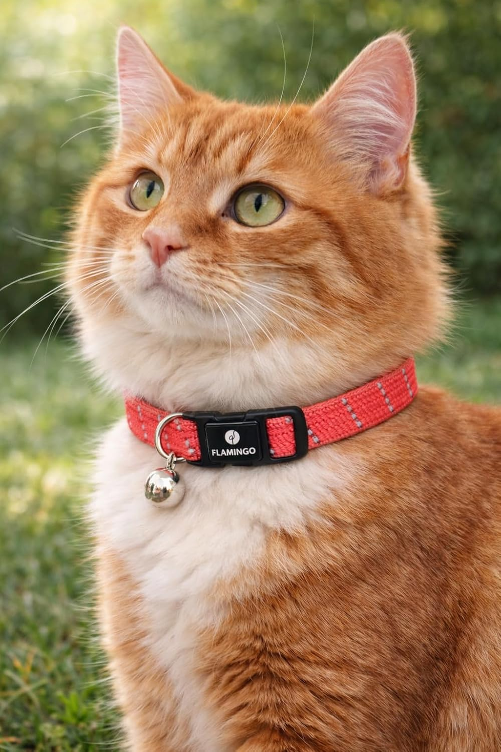 Cat Collar Elza Coral Red 20-34Cm 10Mm image number 2