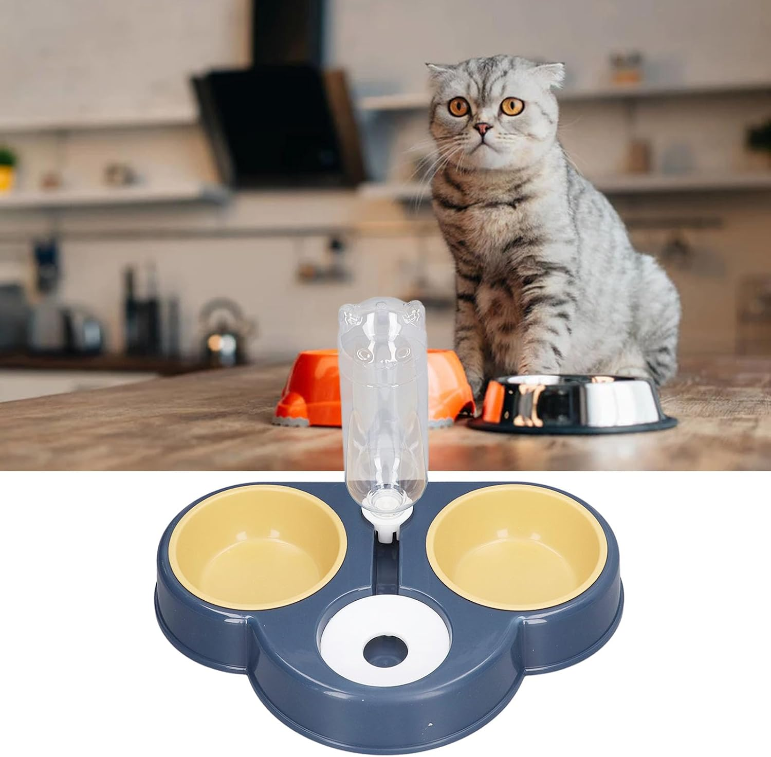 Triple Cat Bowls for Food and Water, 3 in 1 Pet Bowls 15&deg;Tilted Elevated Cat Bowls with 2 Food Bowls and a Water Feeder Bowl, Wet Dry Cat Food Bowl for Cats Puppy Small Dogs (Type 2) image number 4