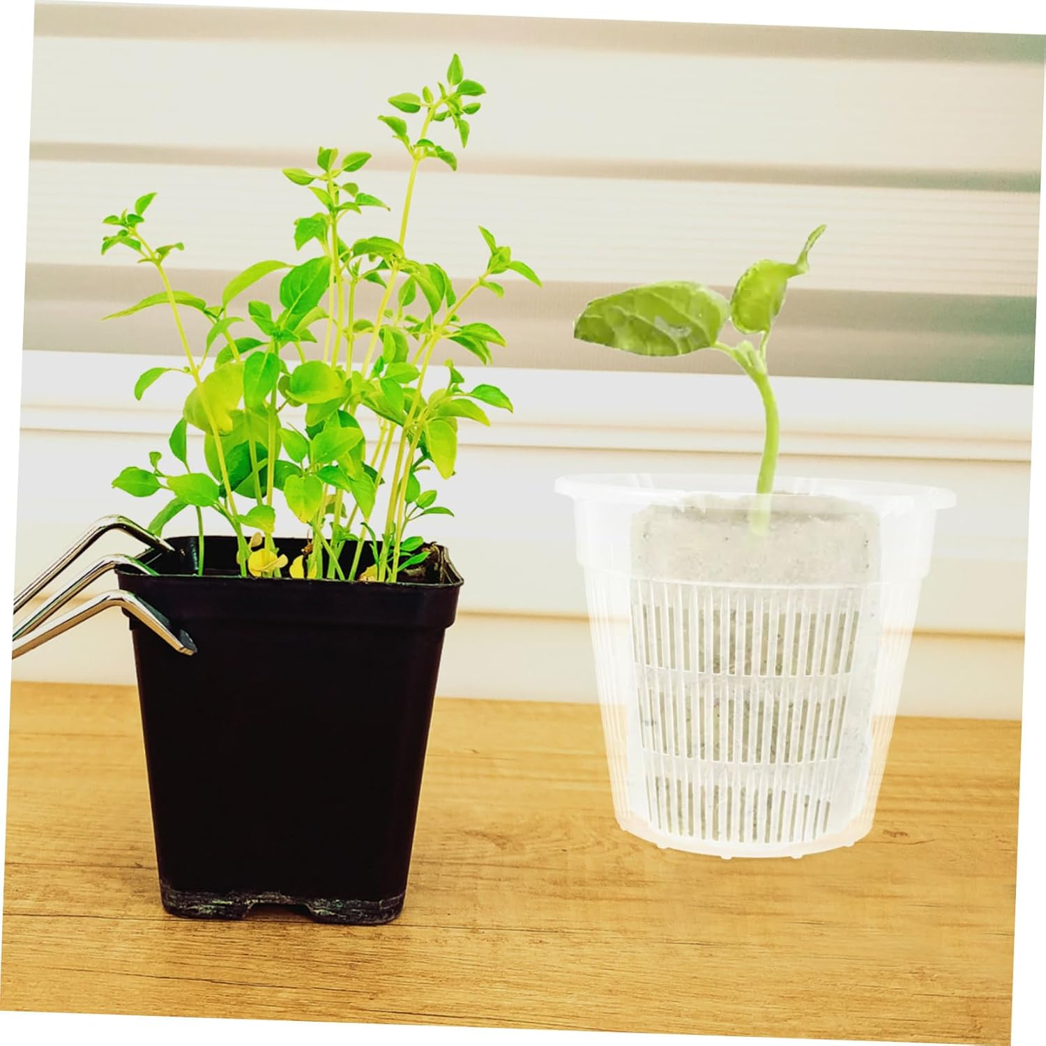 Parliky 4Pcs Hydroponic Vegetable Planting Baskets Outdoor Indoor Garden Supplies Aquarium Planting Baskets Soil Growing image number 6