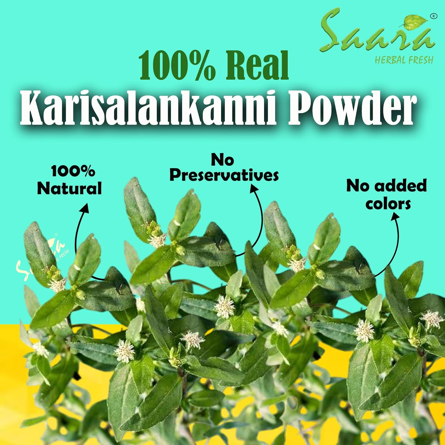Saara HERBAL FRESH White Karisalankanni Powder, 100G, Bhringraj, Eclipta Prostrata, Gunta Kalagaraku, Kesaraja, Bhangra, for Hair Care (Pack of 1 X 100G) image number 3