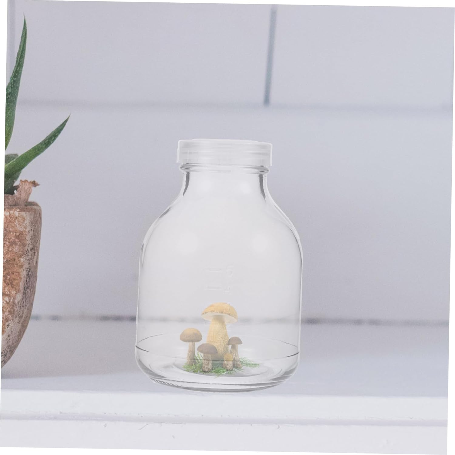 COOPHYA 3Pcs Mushroom Growing Kit Plant Jars Glass Grow Jars Lid Plant Nursery Bottles for Gardening image number 4