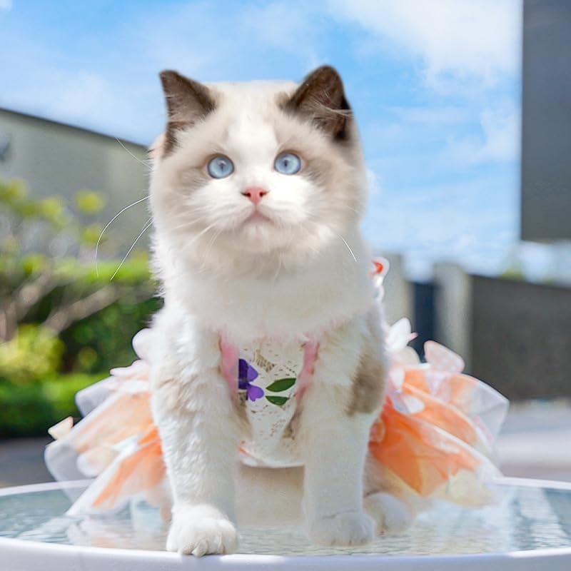 Dress for Cats, Dog Gradient Mesh Dress,Rainbow Butterfly Dress for Small Dog (Colorful, L) image number 2