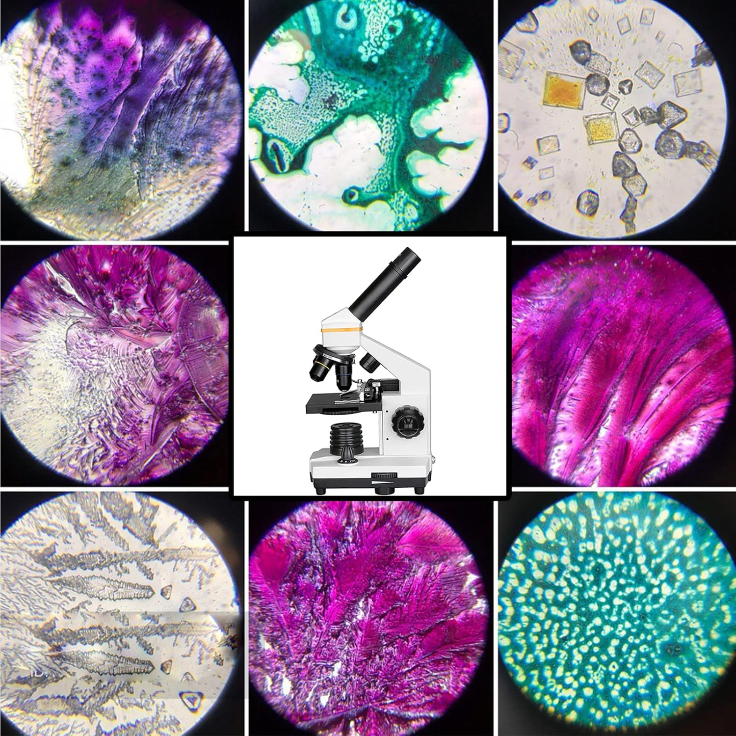 SVBONY SV601 Compound Microscope 40X-1600X, Portable Biological Electronic for Kids Adults Beginner, Dual Light, Fine Focus, Wide Field 10X 20X S40X Eyepiece for Laboratory, High School