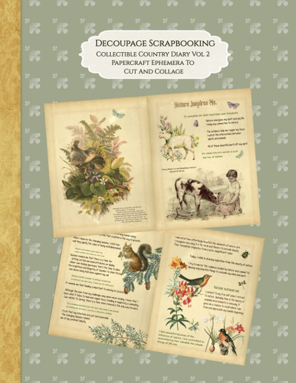 Decoupage Scrapbooking Collectible Country Diary Vol 2 Papercraft Ephemera to Cut and Collage: Country Diary Garden and Birds Junk Journal Signature Pages