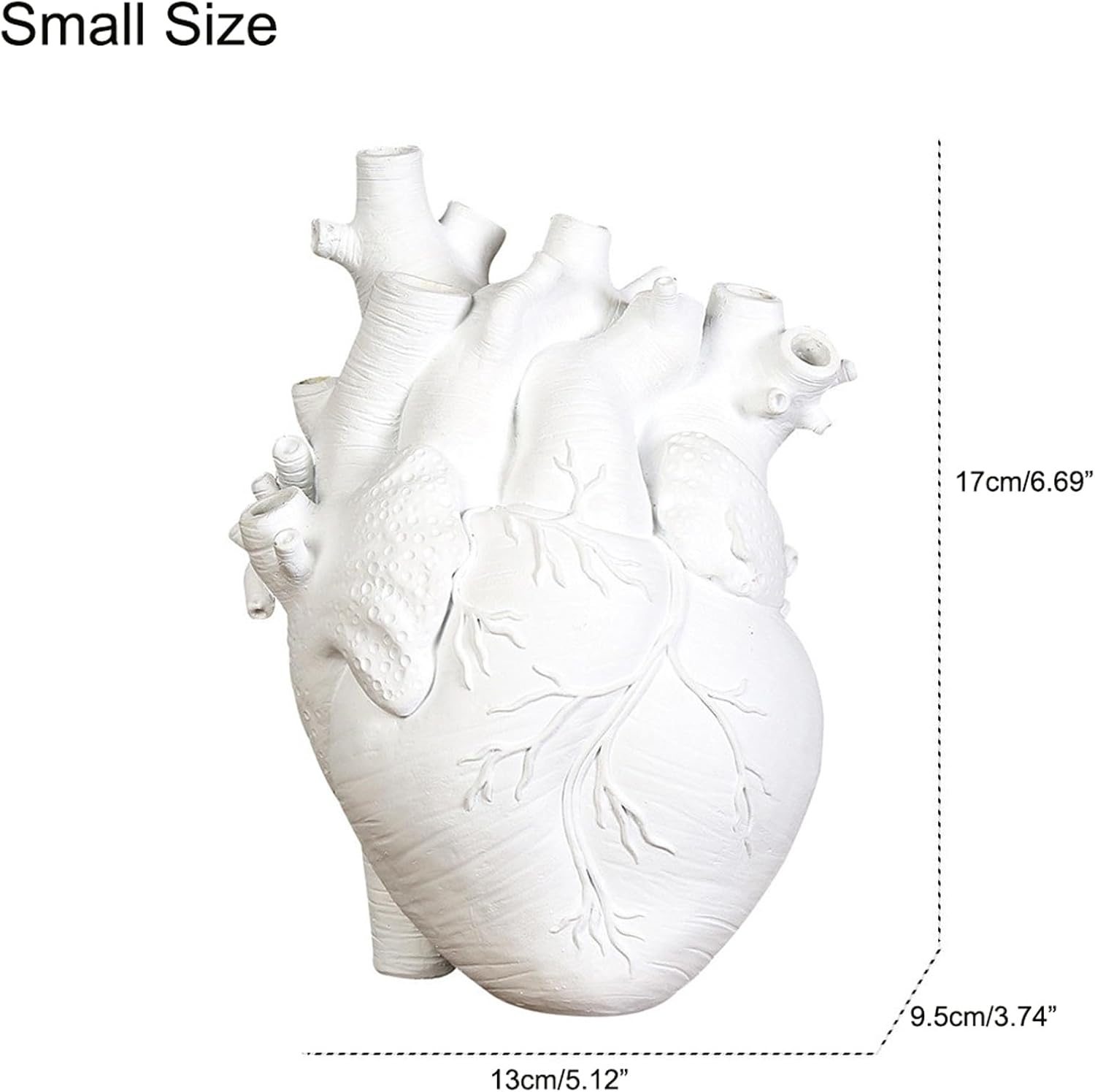 Resin Vase Planter, Decorative Heart Vase - Anatomical Heart Tabletop Decorative Craft, Farmhouse Living Room Bedroom Countertop (White,Small) image number 2