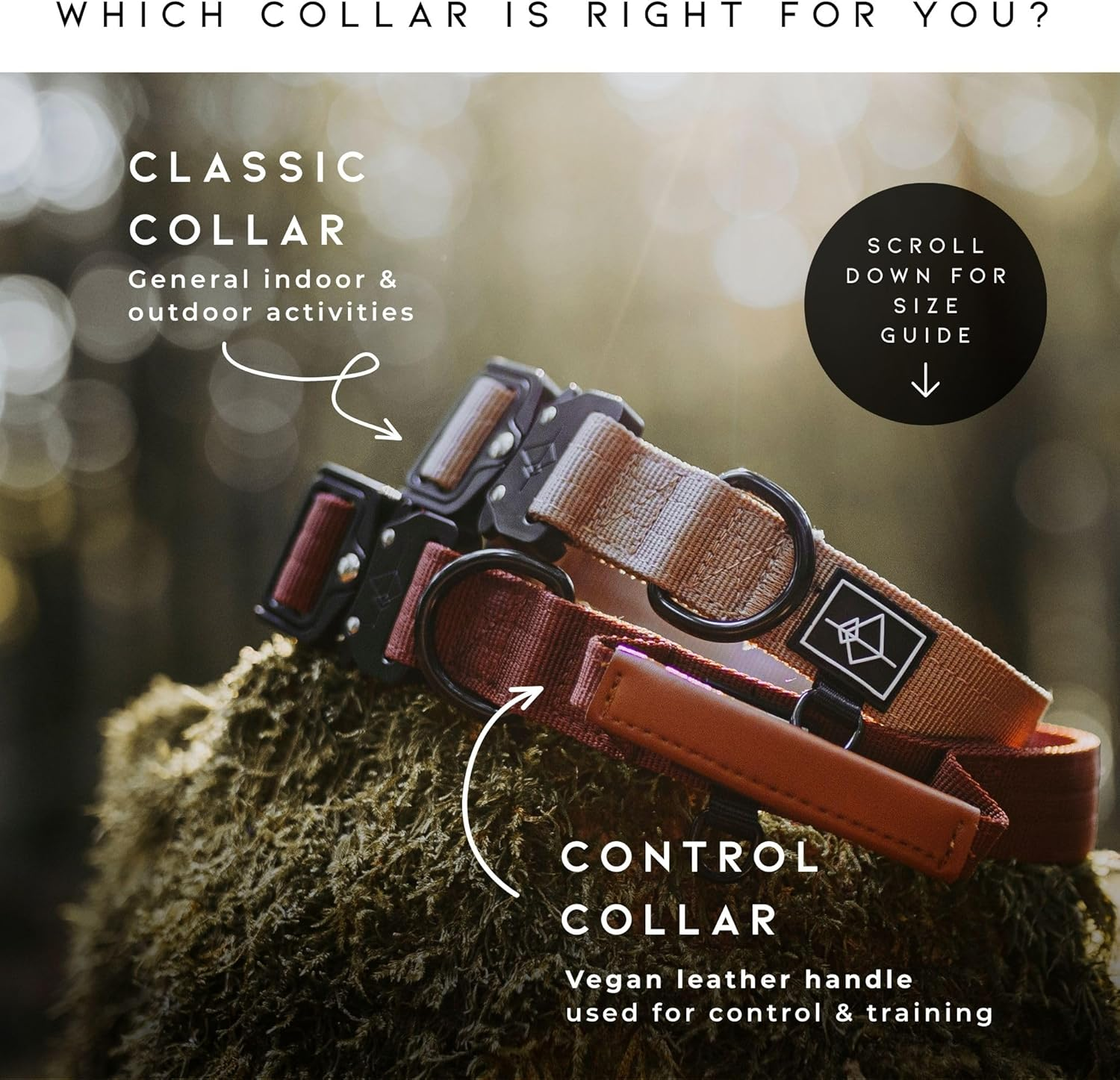 ROAM Premium Dog Collar - Adjustable Heavy Duty Nylon Collar with Quick-Release Metal Buckle (Colorado Nightsky, Size 1)