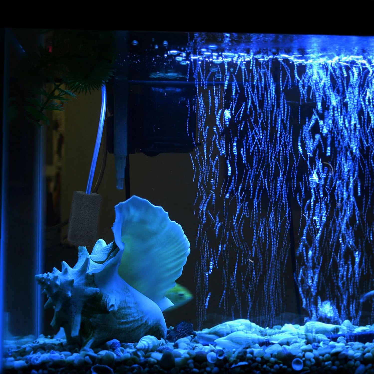 10Pcs Pre-Filter Sponge for Fish Tank Intake Filter Cover for Aquarium Pumps Compact Protective Sponge for External Filter Inlets Suitable for Freshwater and Saltwater Use image number 6