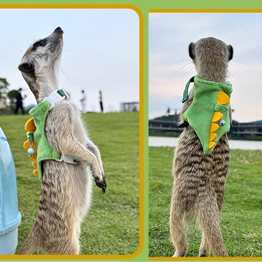 Anelekor Ferret Harness and Leash Set Small Animals Vest Harness with Safe Bell Dinosaur Shaped Walking Clothes for Baby Rabbit Guinea Pig Teacup Chihuahua Mouse and Other Small Pet (B) image number 5