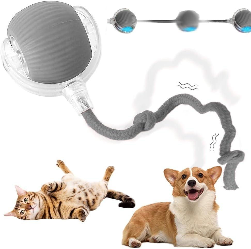 Pet Intelligent Rolling Ball,Interactive Cat Toys Ball for Indoor,Motion Activated Automatic Moving Dog Toy Ball,360&deg;Smart Rolling Pet Ball