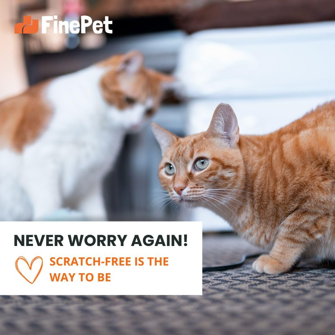 Cat Scratch-Resistant Furniture Protectors with 8-Pack and More Including Twist Pins - anti Scratch Protector Cat Couch Guards - Furniture Protectors from Cat Scratch (12-Pack + Twist Pins) image number 3