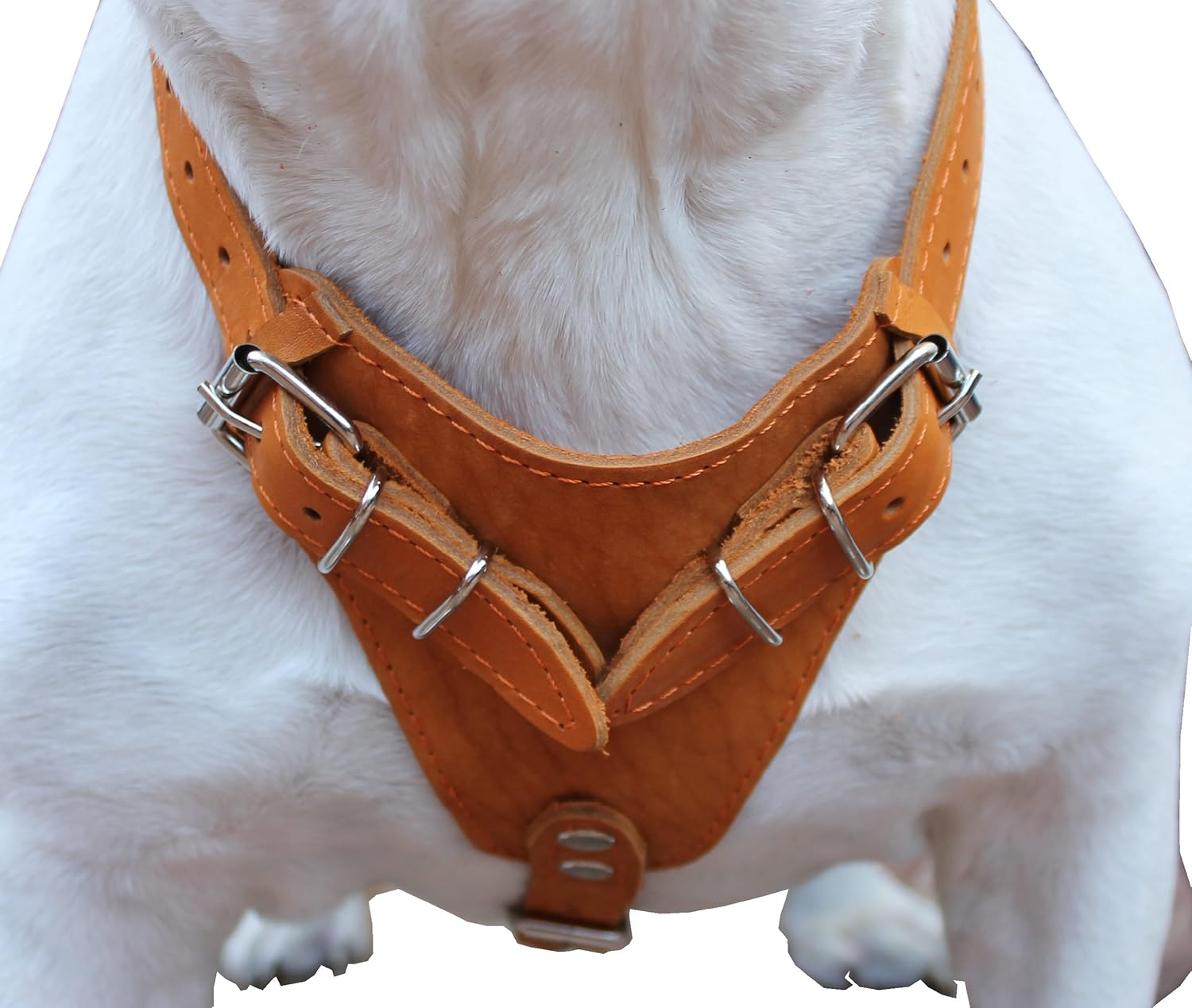 Genuine Leather Dog Harness 29-37 Chest 1 Wide Straps Doberman Pitbull Bullterrier image number 1