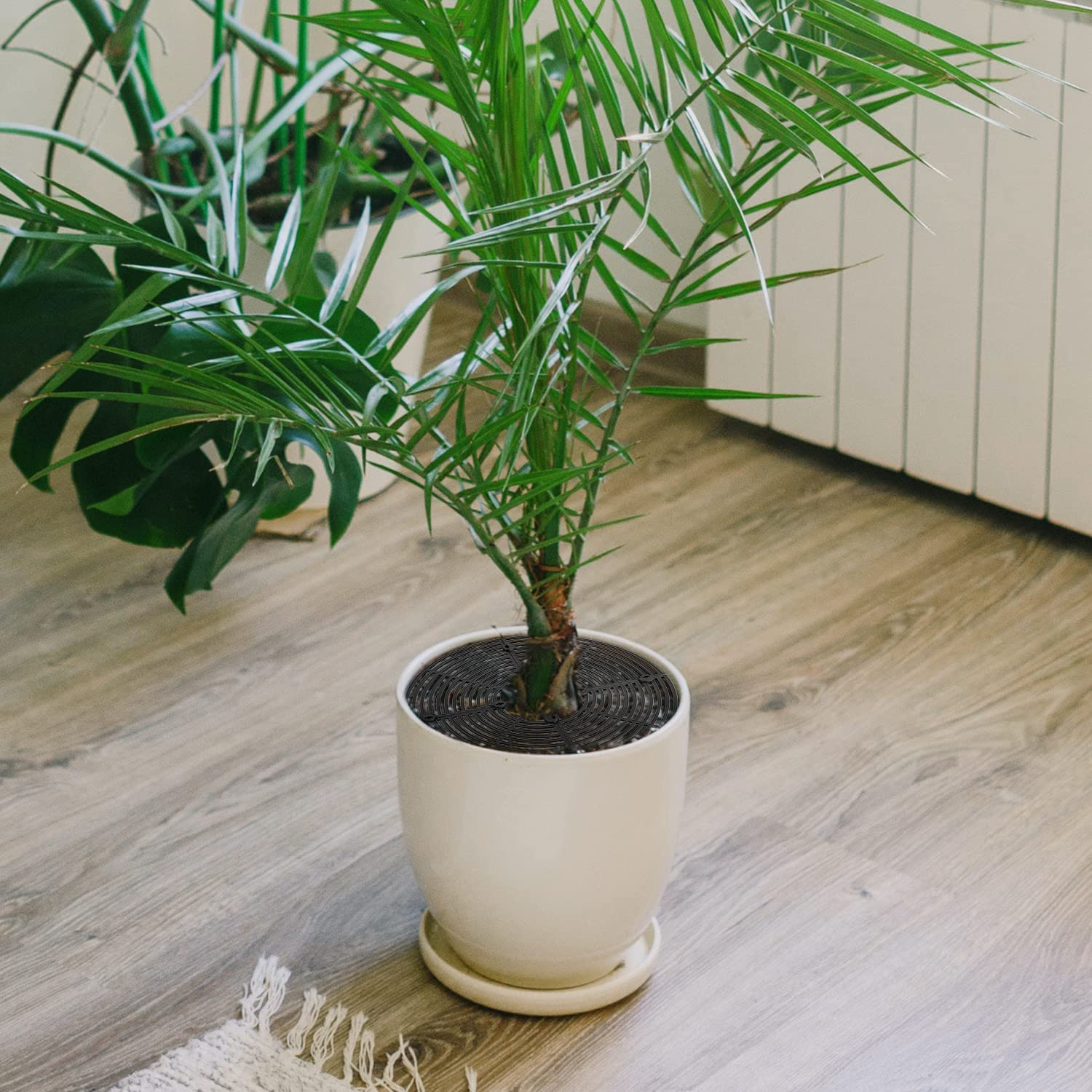 Luter Planter, 3 Pack 11.8'' Plastic Indoor Plant Pot Protector, Cuttable, Flower Pot Soil Cover, Cat Digging Stopper (Black) image number 3