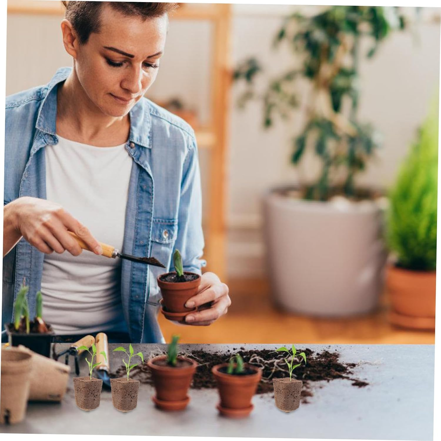 KITANDOVE 40Pcs Hydroponics Seed Starter Blocks Soilless Cultivation Grow Media Cubes for Indoor and Outdoor Gardening 1 Inch Plant Nursery Plugs High Air Permeability image number 6