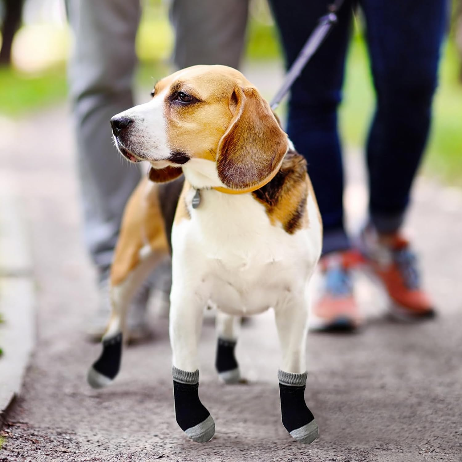 DHWEKU Indoor Non-Slip Socks for Dogs, Dog Socks, Non-Slip Socks, Dog, Soft Pet Protection, Improve Your Dog'S Grip, 2 Pairs, Black (L) image number 5