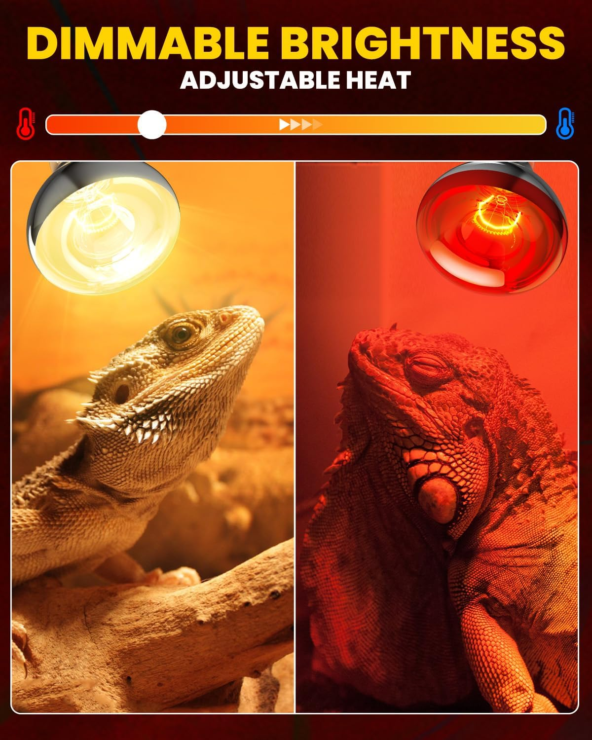 Glowup 250 W Heat Bulbs E27 Set - 1 X Infrared Red Light Lamp Heat Lamp + 1 X Daylight Heating Bulb for Chicken Coop Heating, Rabbits, Puppies, Piglets, Lambs, Kittens, Reptiles