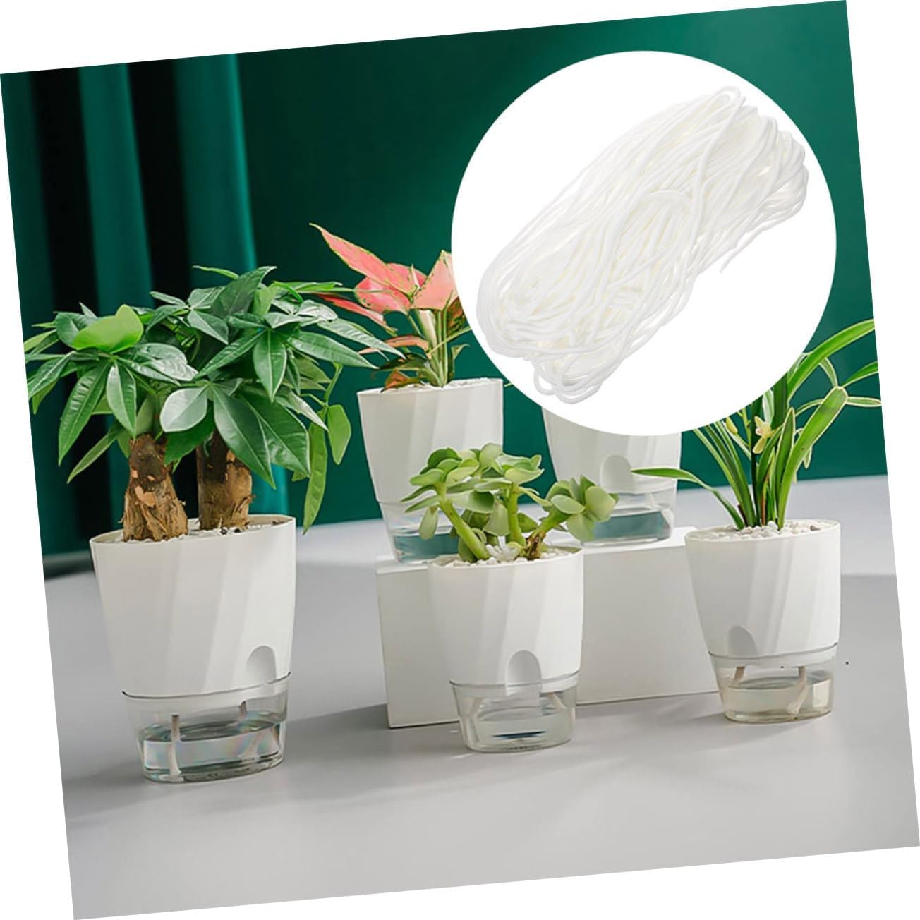 Kisangel Self-Watering Planter Rope Cotton Thread for Hydroponic Potted Plants Water Absorption Wick Cord for Garden Supply image number 2