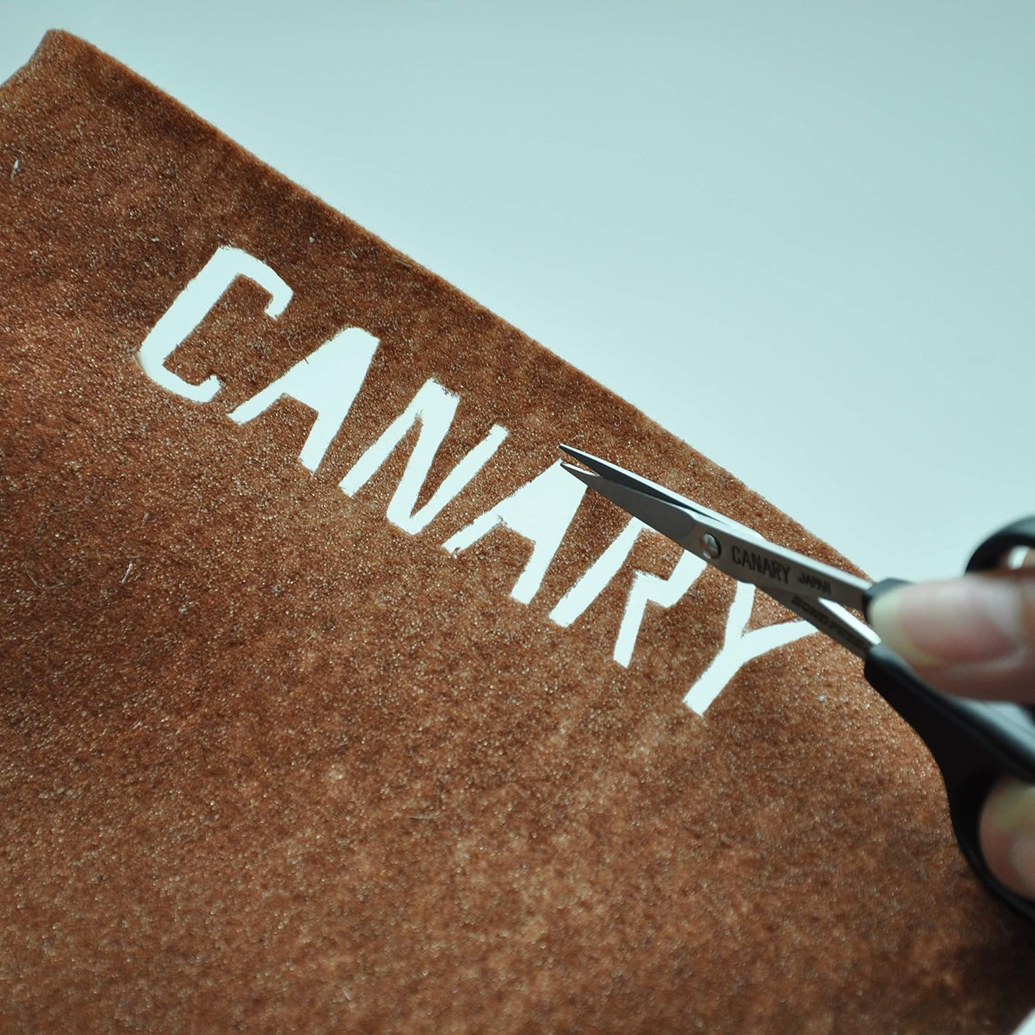 Hasegawa Cutlery DSB-100 Scissors, Ultra Fine, for Design, Bond-Free, Black