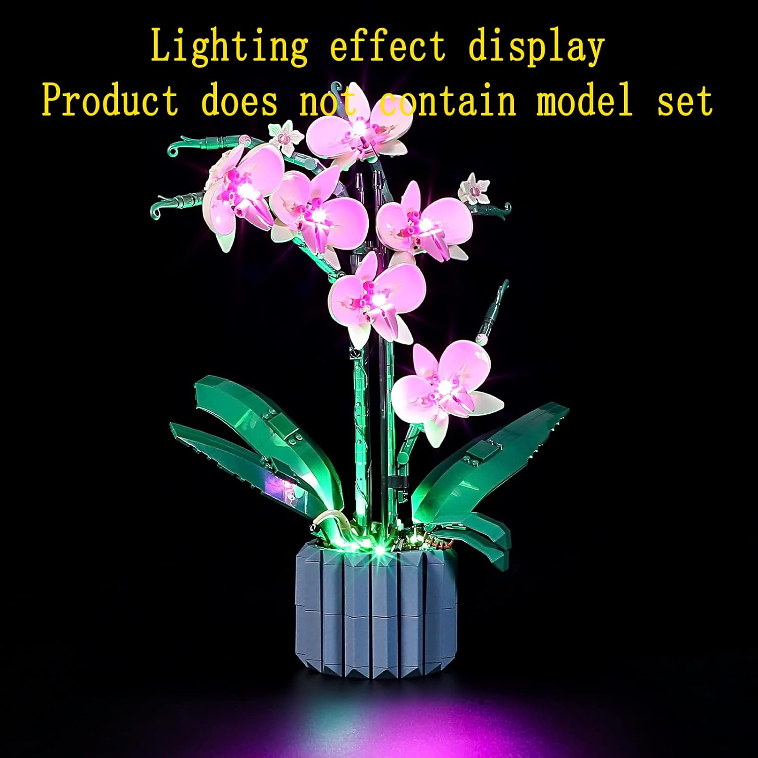 GEAMENT LED Light Kit Compatible with  Orchid - Lighting Set for Creator 10311 Building Model ( Set Not Included)