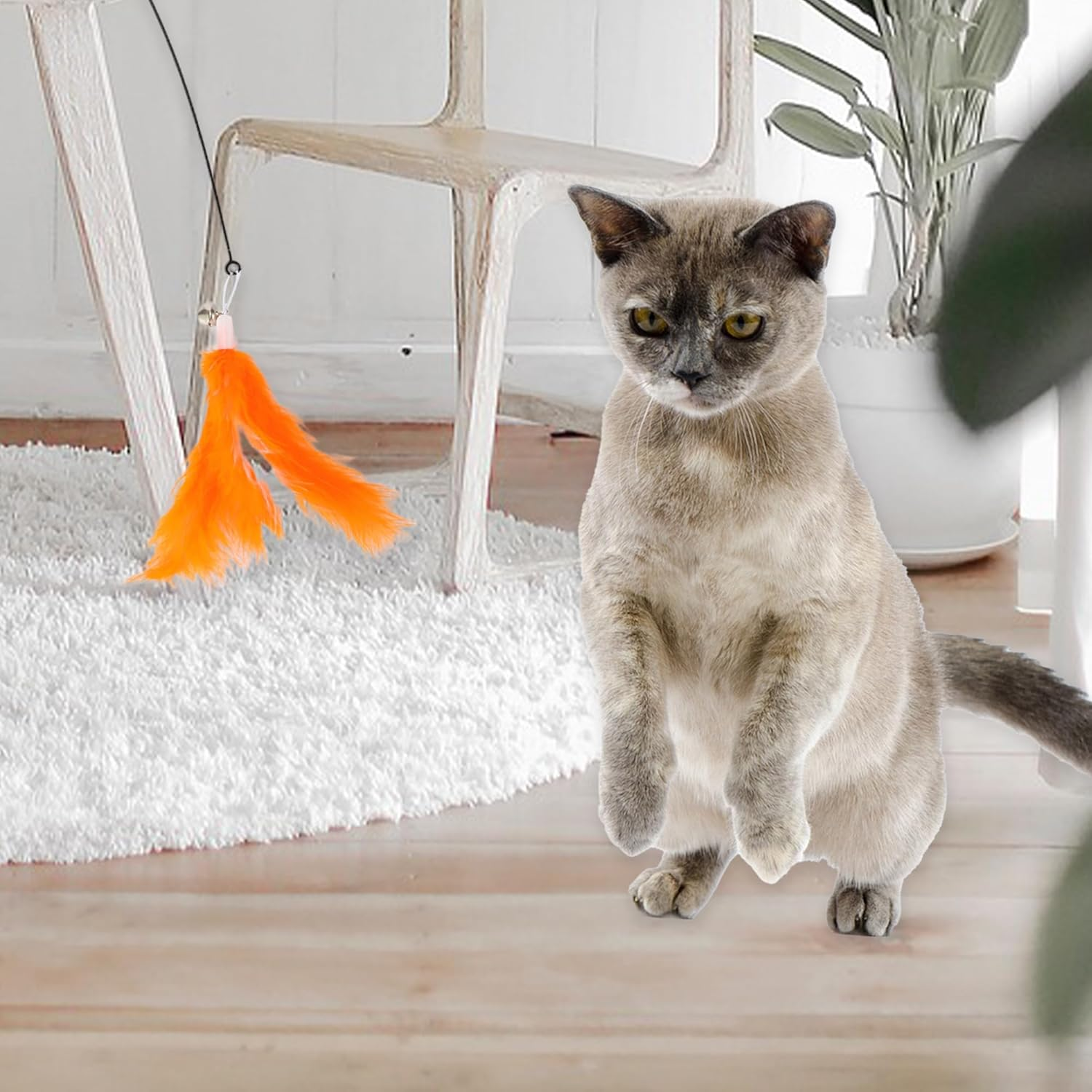 CAPASTEC 2Pcs Feather Cat Stick Replacement for Pet Interaction Orange White image number 1