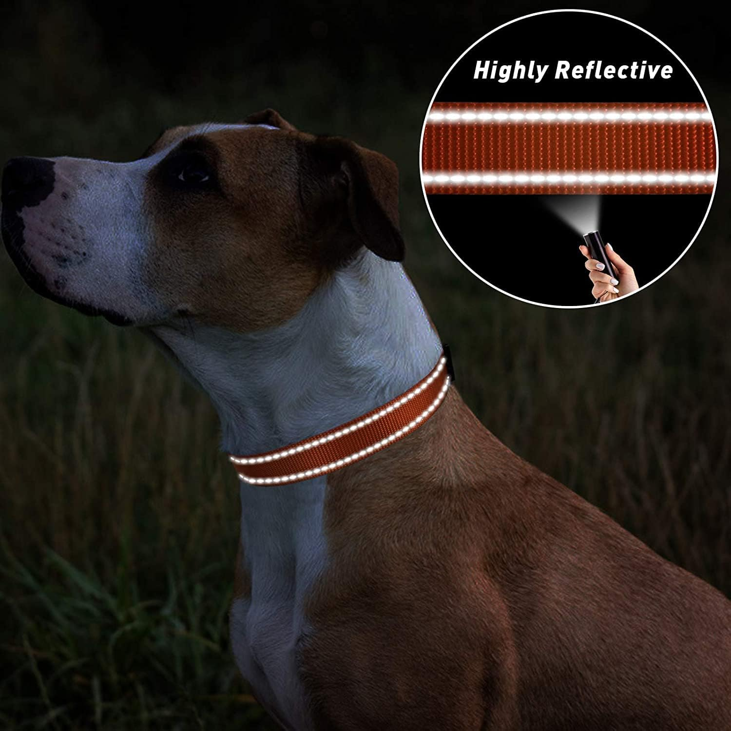Reflective Dog Collar with Safety Locking Buckle, Adjustable Nylon Pet Collars with Soft Neoprene Padded for Puppy Small Dogs,2.0 Cm Width, Orange image number 3