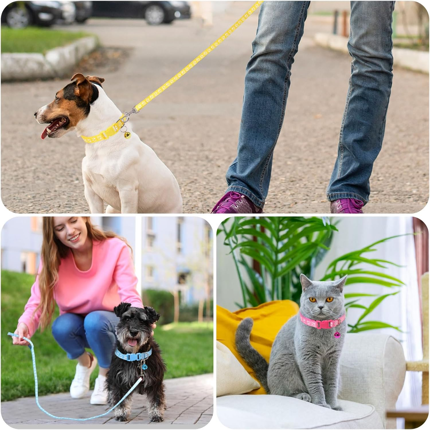 FREEBLOSS 30 Set Dog Collar and Leash Set Adjustable Puppy Collars Soft Polypropylene Identification Collar for Little Dog Walking Training with Hook and Buckle 15 Colors image number 1