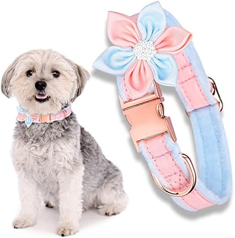 Kalevel Floral Dog Collar Breakaway Large Personalized Cat Collar Elegant Pet Collar with Flower Accessory for Rottweiler Pugs Decoration Pink Blue