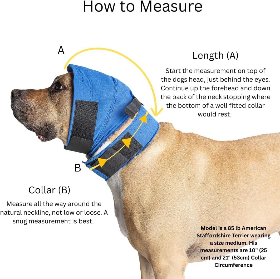 No Flap Ear Wrap the Original Pinpoint Mesh Small Red image number 5