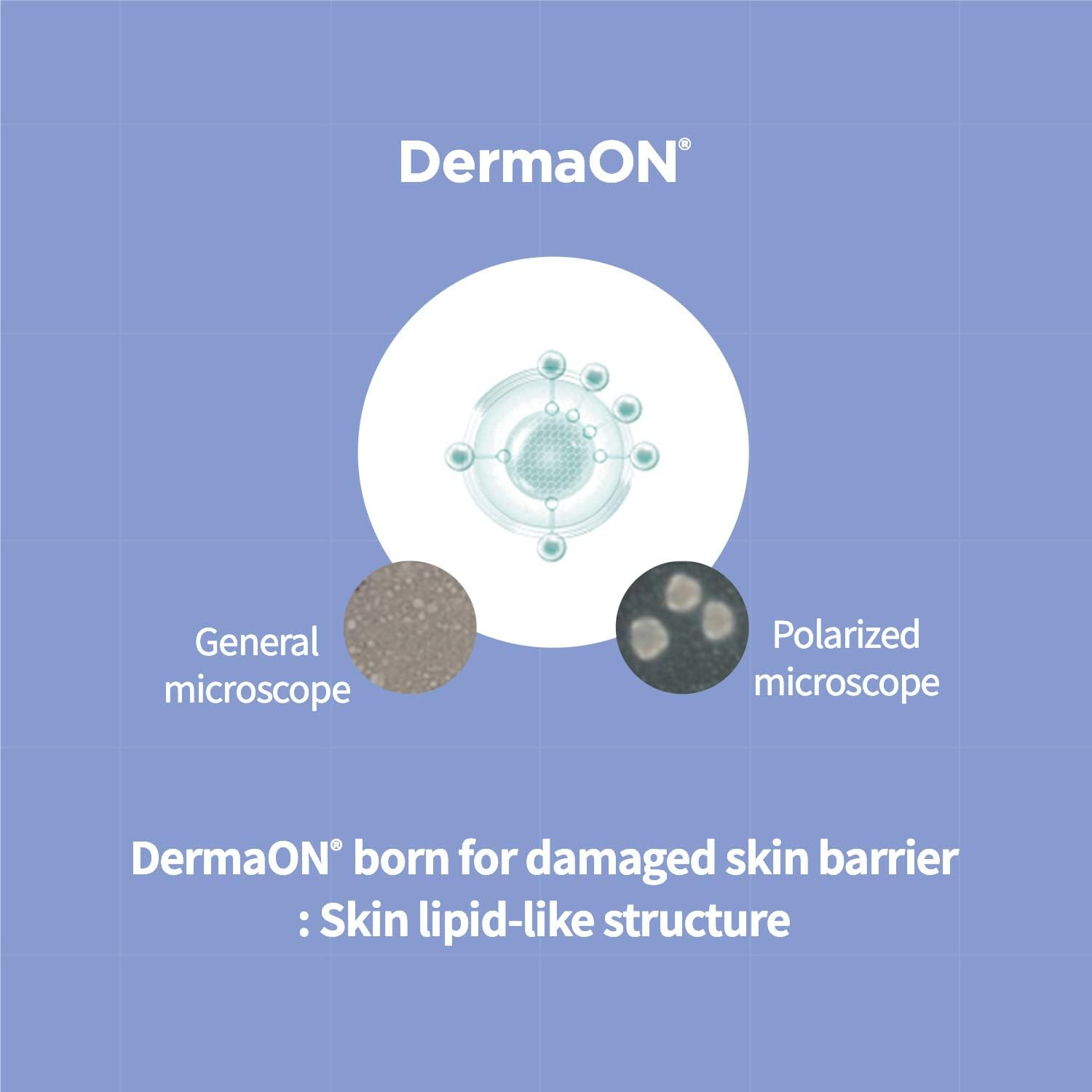 AESTURA Atobarrier365 Ceramide Hydro Essence Deep Hydrating with 30 Moisture Nutrients for Face Normal to Dry Skin 5.07 Oz, 150Ml image number 3