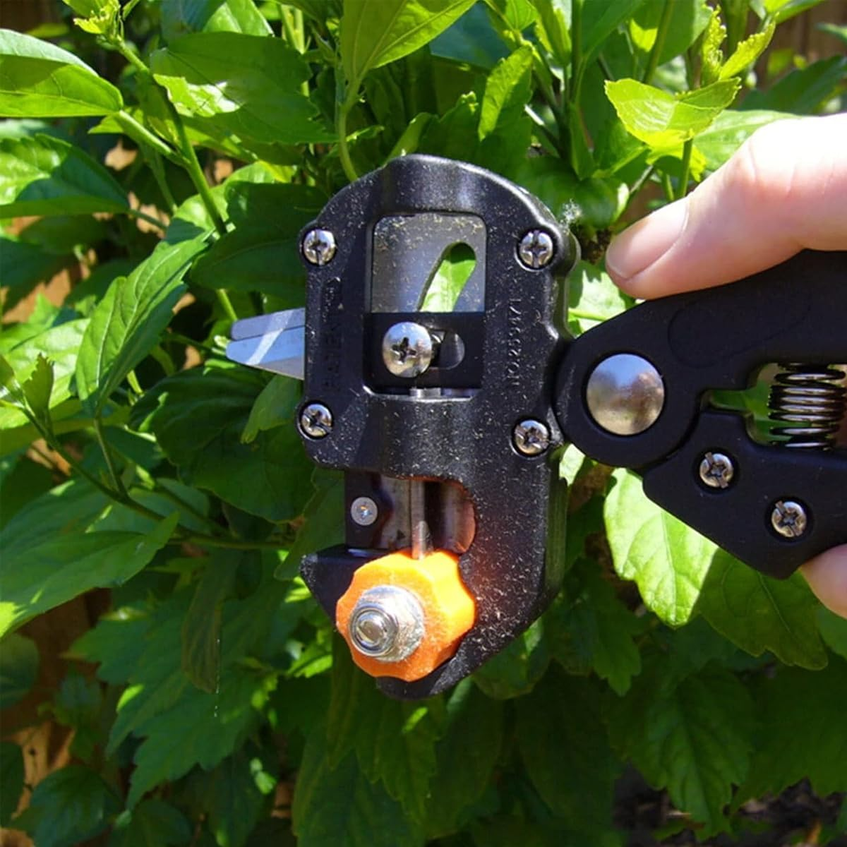 AIMALL Garden Fruit Tree Pro Pruning Shears Scissor Grafting Cutting Tool with 2 Random Blades, High-Precision Grafting and Pruning, Ergonomic Handle, 8.26 X 4.72 X 1.57 Inches image number 1