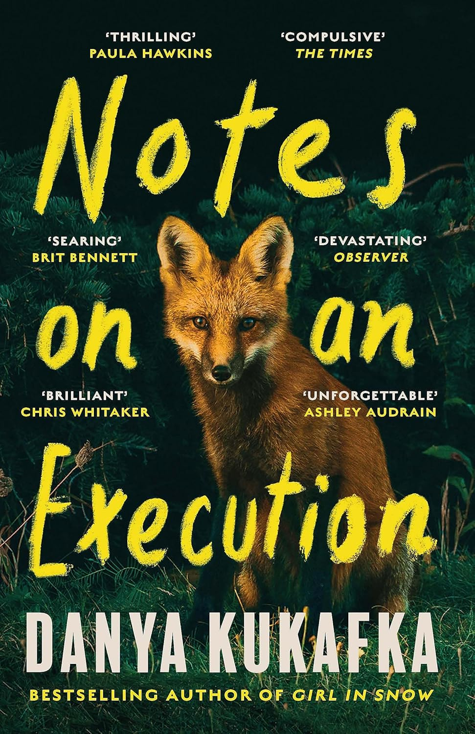 Notes on an Execution: the Bestselling Thriller That Everyone Is Talking About