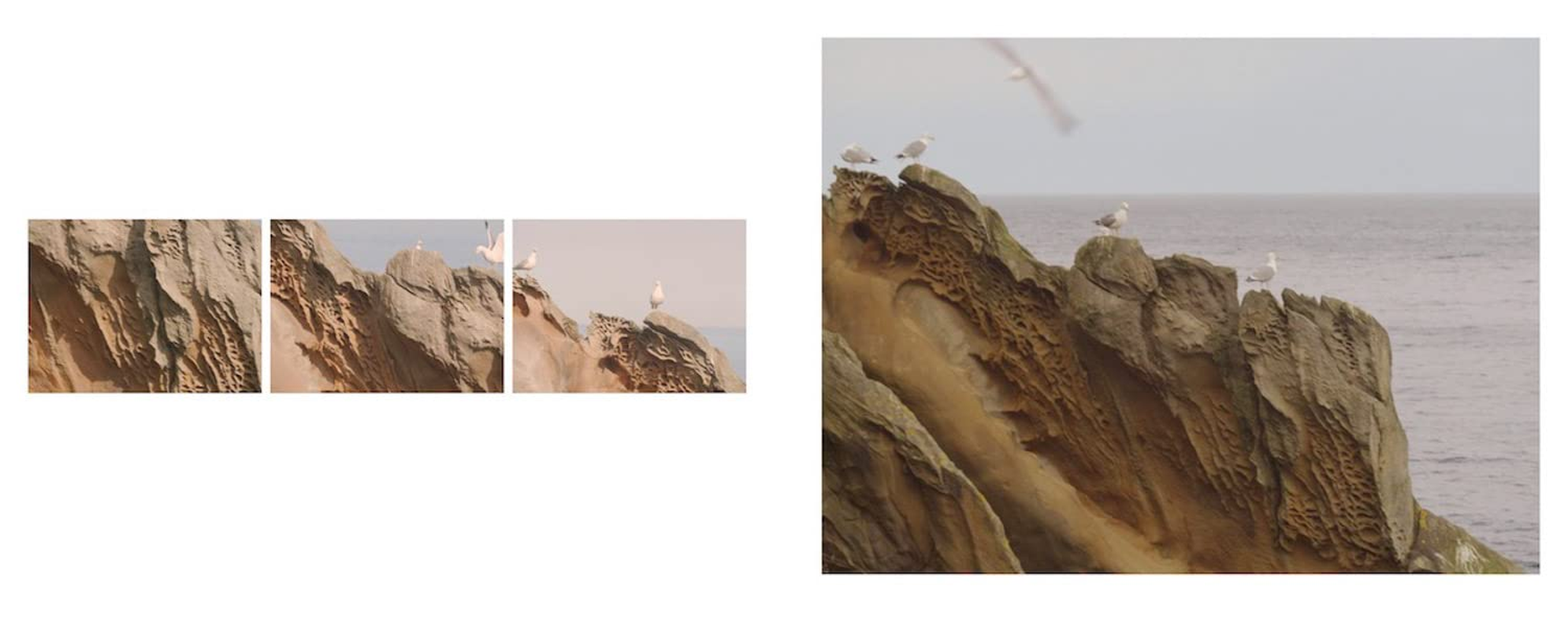 Cristina Iglesias (Bilingual Edition): Hondalea image number 4