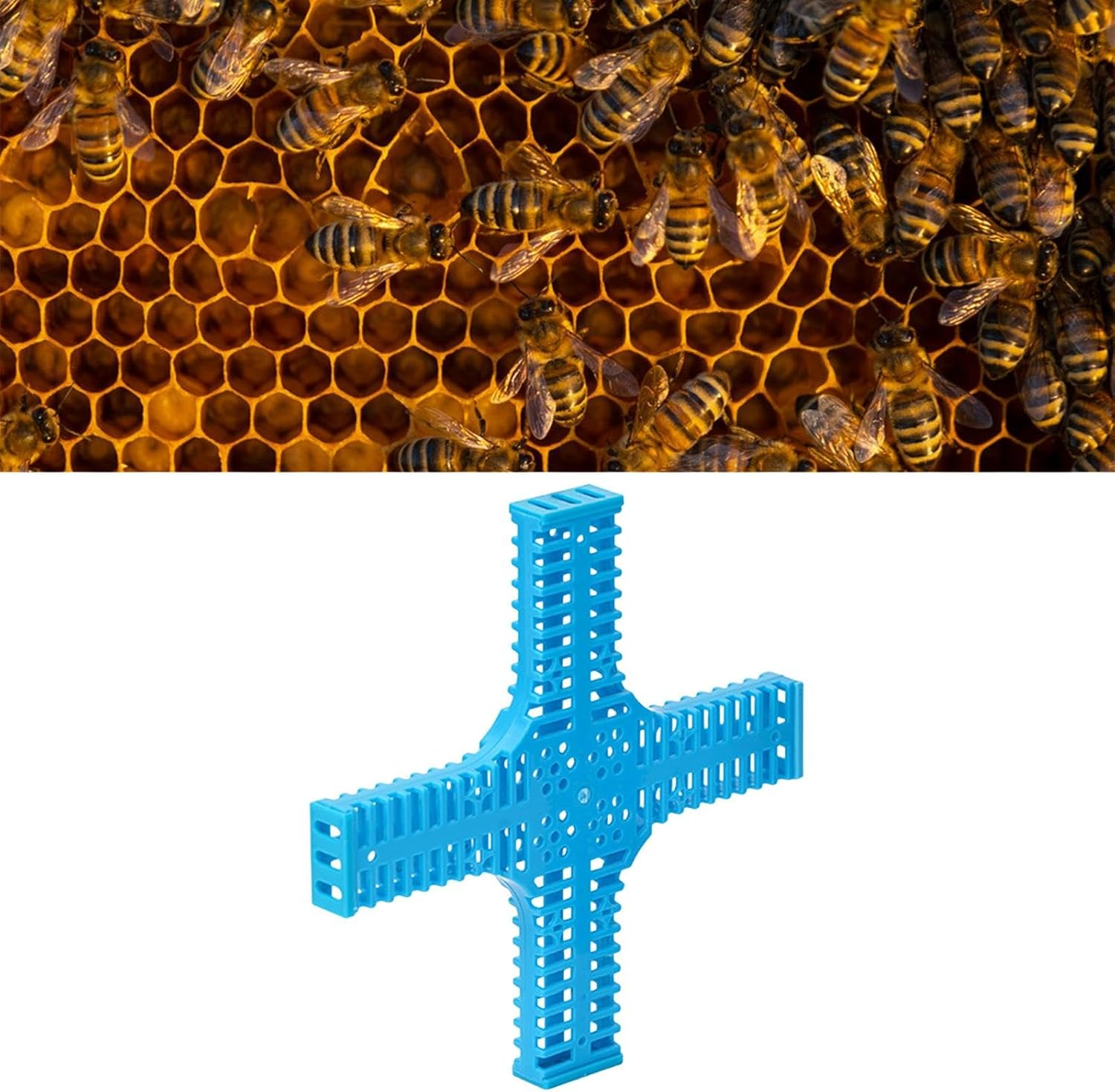 Etyldya Queen Cages for Bees, Equipment, User-Friendly Beekeeping Supplies, High Performance, image number 4