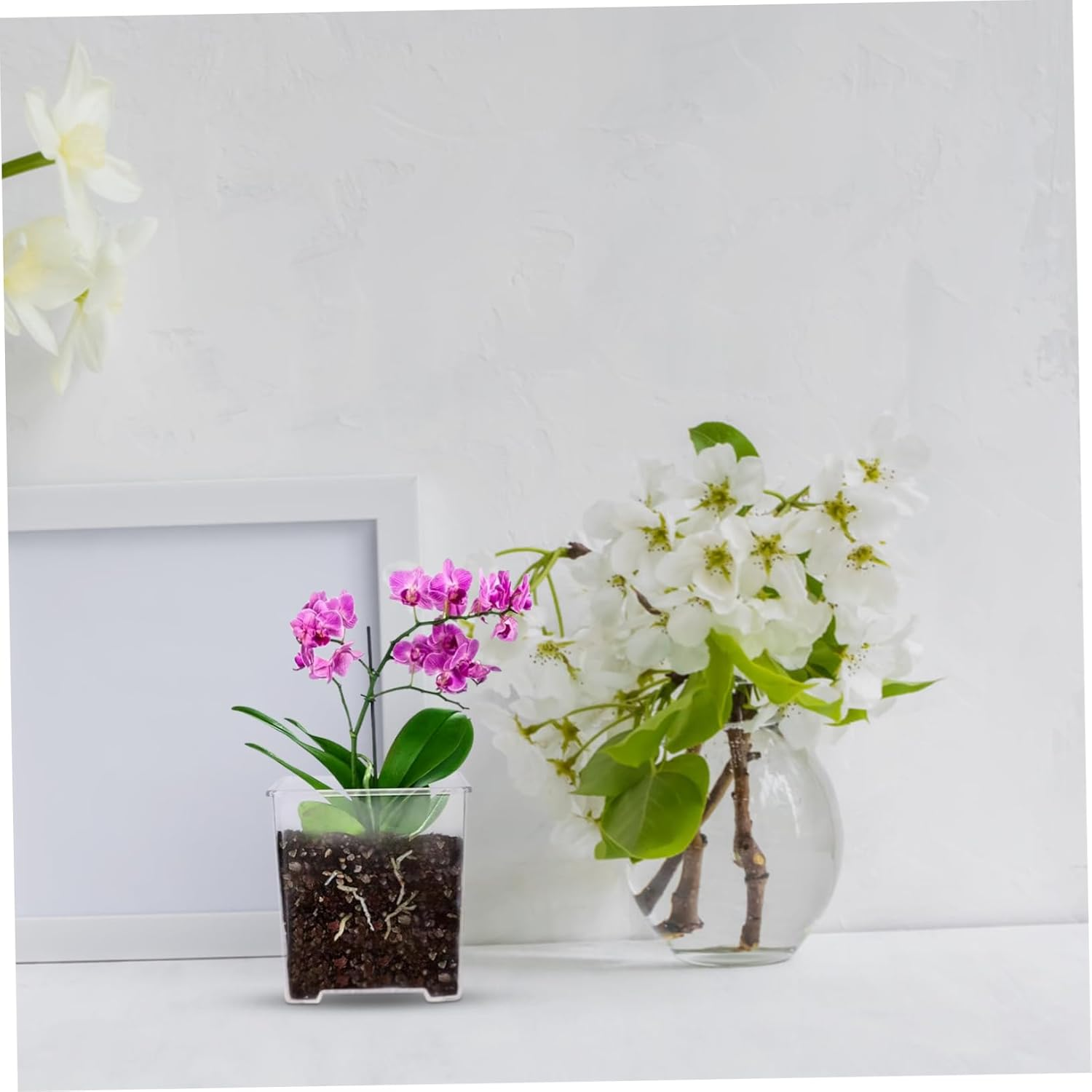 OFFSCH 5Pcs Orchid Pots Drainage Trays Breathable Slotted Plant Container for Outdoor Gardening Acrylic Flower Planter for Healthy Root Growth image number 1