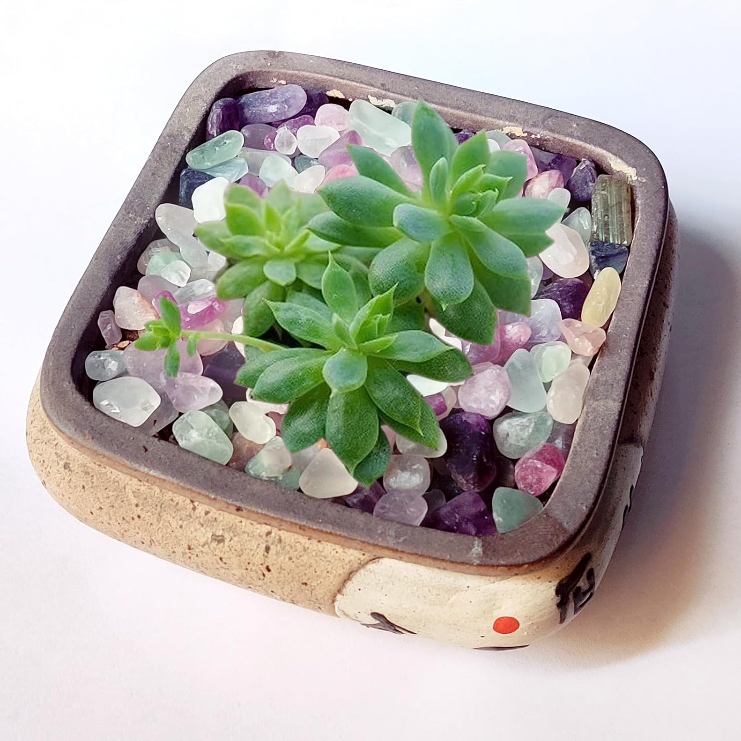 Aquarium Gravel,Decorative Rocks for Planters,0.44Lb Fluorite Aquarium Gravel Rocks,Crystal Chips Stone Crushed Quartz for Crafts, Vases Filler, Succulent Plants, Aquarium Gravel Rocks (Fluorite) image number 5