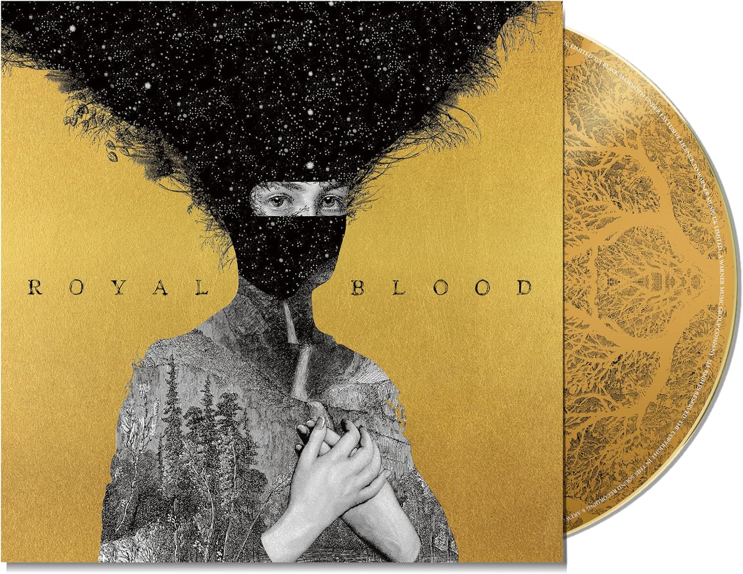 Royal Blood - 10Th Anniversary Edition image number 2